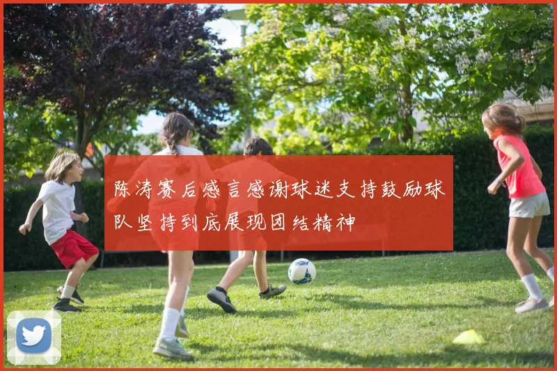 陈涛赛后感言感谢球迷支持鼓励球队坚持到底展现团结精神